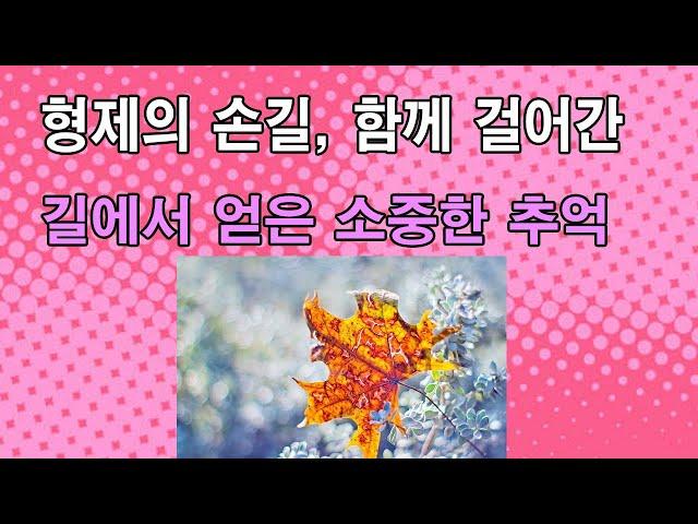 팟캐스트 | 반전신청사연 | H12