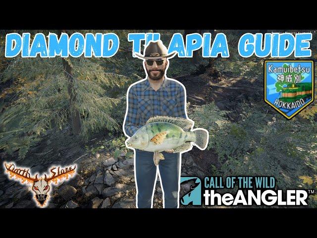 Here's Where and How To Catch A Diamond Tilapia! -the Angler