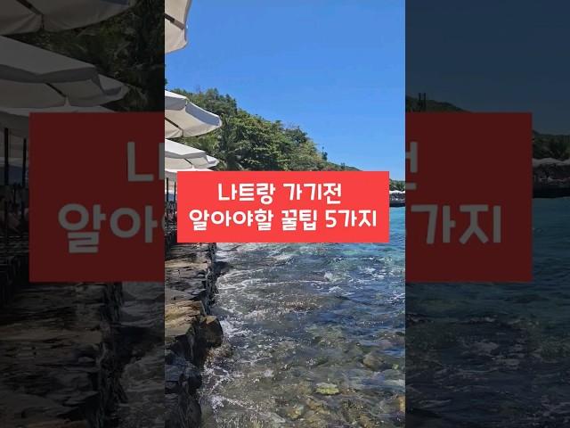 베트남 나트랑 가기전 알아야할 꿀팁 5가지 #여름휴가 #해외여행 #추천