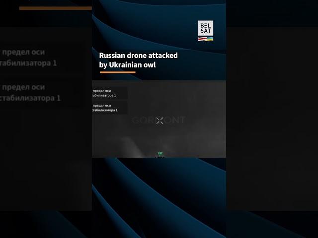 ️ Russian drone attacked by Ukrainian owl #shorts