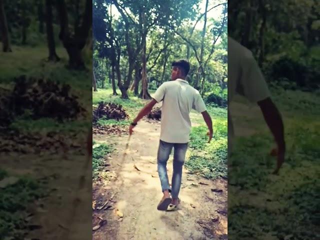  waking is forest my video share your comment