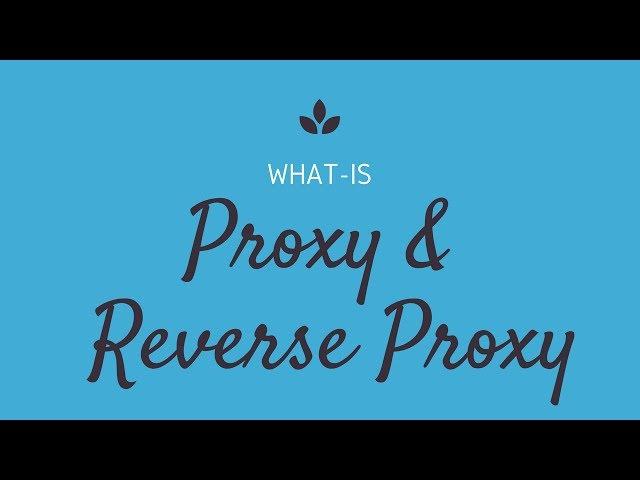 Proxy Server vs Reverse Proxy Server | Security | Tech Primers