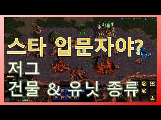 스타크래프트 기초 저그 건물, 유닛, 업그레이드 종류 (Starcraft)