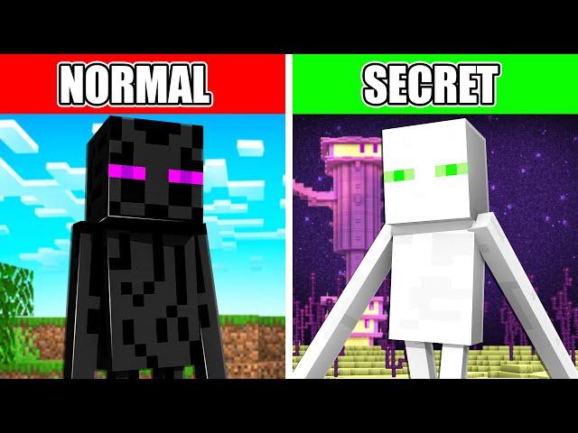 10 Top SECRETS in Minecraft Revealed…