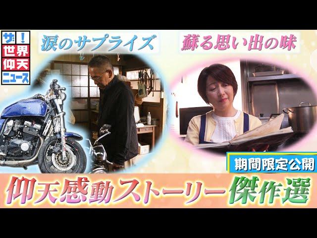【ザ！世界仰天ニュース】仰天感動ストーリー傑作選