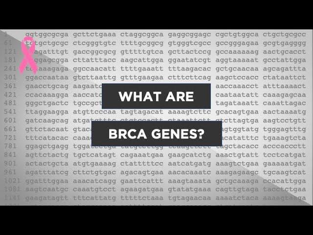 Evo-Ed: How do the BRCA genes cause breast cancer?