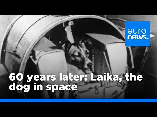 60 years on - Laika the dog in space | euronews 