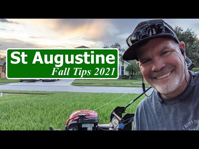 St Augustine Grass Lawn Tips Fall 2021