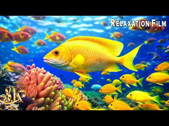 Aquarium 8K VIDEO (ULTRA HD)  Beautiful Coral Reef Fish - Relaxing Sleep Meditation Music