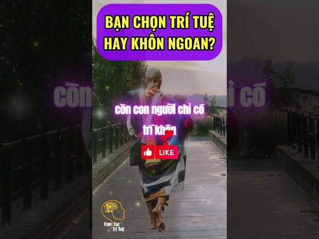 SƯ MINH TUỆ: BẠN CHỌN TRÍ TUỆ HAY TRÍ KHÔN?, CÒN KHÔN LÀ CÒN KHỔ | TSTT #shorts