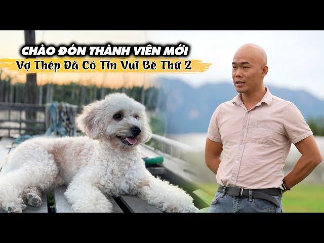 CHÀO ĐÓN THÀNH VIÊN MỚI, VỢ THÉP ĐÃ CÓ TIN VUI,HUY HOÀNG CHUẨN BỊ CÓ EM