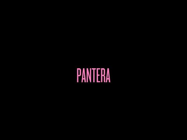 PANTERA | Na pré-venda!