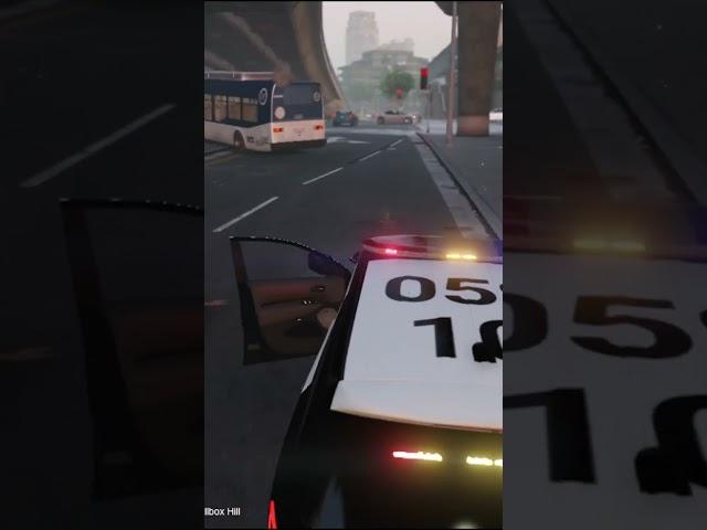 Don't Run a Red Light... GTA 5 LSPDFR