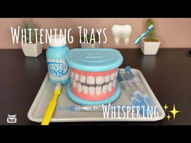 ASMR | Whitening Tray Visit | Melissa and Doug super smile kit