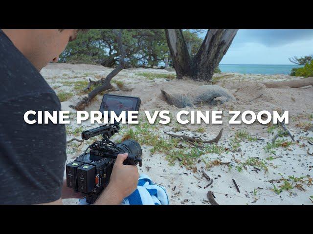 Cine Prime VS Cine Zooms for documentary work