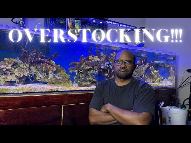 Reef Tank Overstocking Dangers