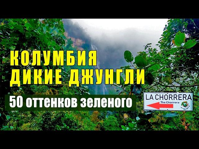 По ДЖУНГЛЯМ к Невероятным водопадам Колумбии! Что нужно знать? Гид, Экипировка, Безопастность.