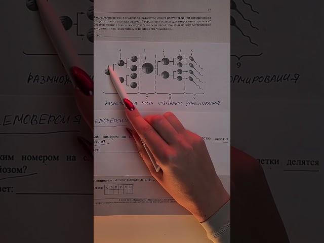 Забирай бесплатно всю генетику для ЕГЭ по биологии в комментариях  #умскул #биологияегэ #биология