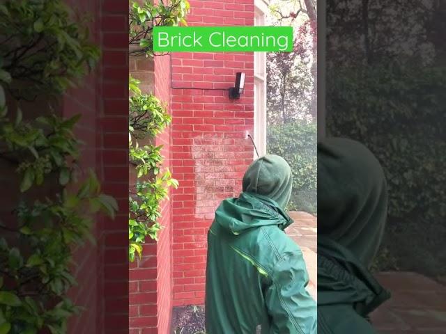 Brick Cleaning Service