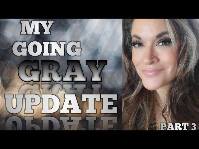 How to go gray FAST without cutting your hair Update part 3