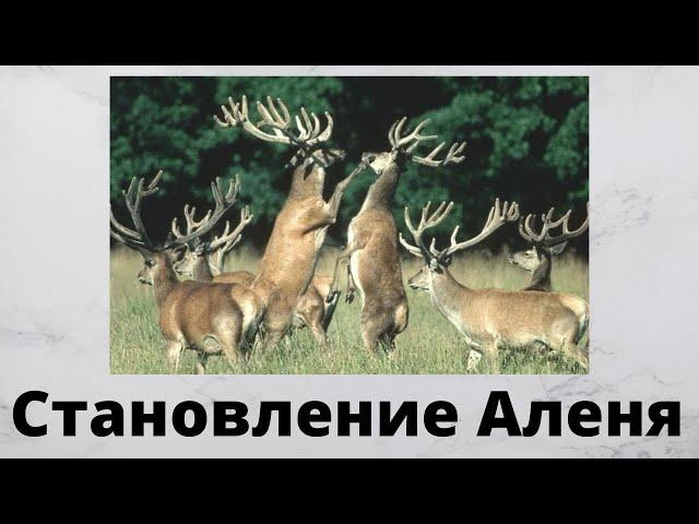 Как превращаются в Аленя