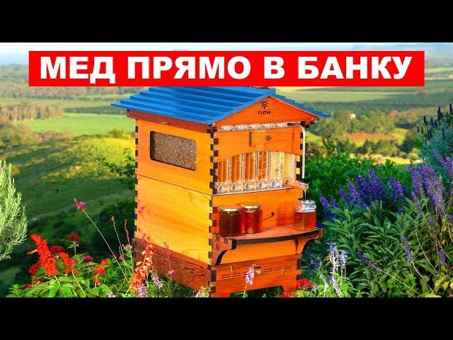 ТАКОЙ УЛЕЙ ВЫ РАНЬШЕ НЕ ВИДЕЛИ | ПЧЕЛОВОД 10 ГО УРОВНЯ | МЕД ИЗ УЛЬЯ ПРЯМО В БАНКУ