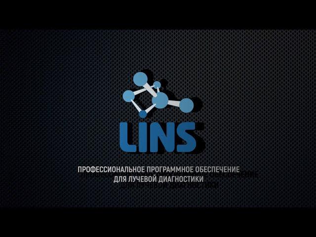 LINS. Коротко о компании.