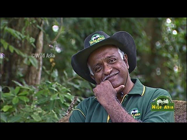 Wild Asia Episode 420 (04-Jun-2021)