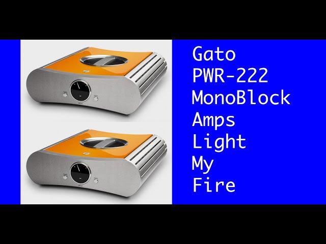 GATO PWR-222 Monoblock Amplifier, SHAKEN & STIRRED!