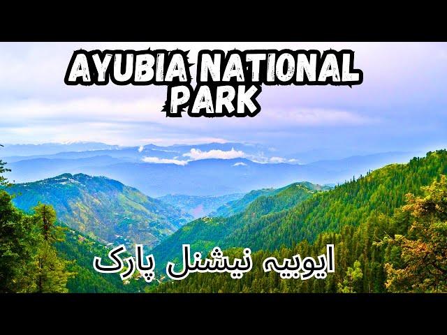 ayubia | ayubia national park | ayubia murree | ayubia chair lift | ayubia tunnel | moto tunnel