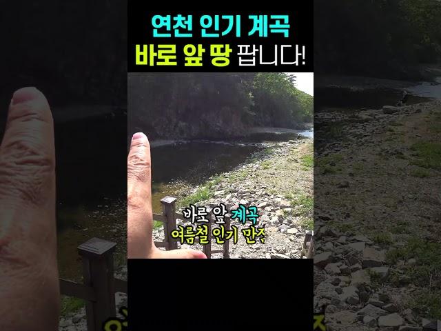 (문의  010-8435-7158) 계곡 끝내주는 땅, 정말 아쉽게 판매합니다!! #부동산 #경매 #캠핑 #캠핑장 #카라반 #포천 #연천 #토지매매