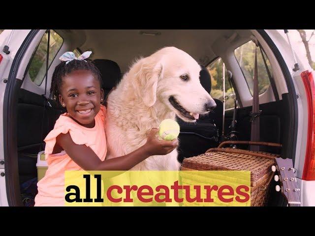 All Creatures Magazine