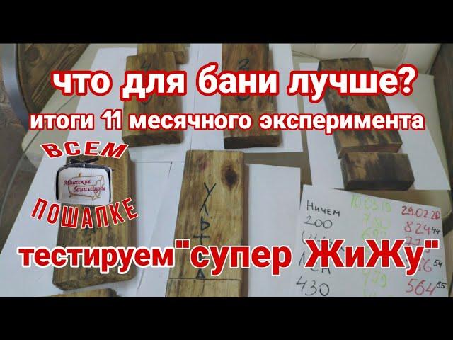 Чем обработать древесину в бане? Завершение эксперимента длиной в 11 месяцев и сразу начнем другой!