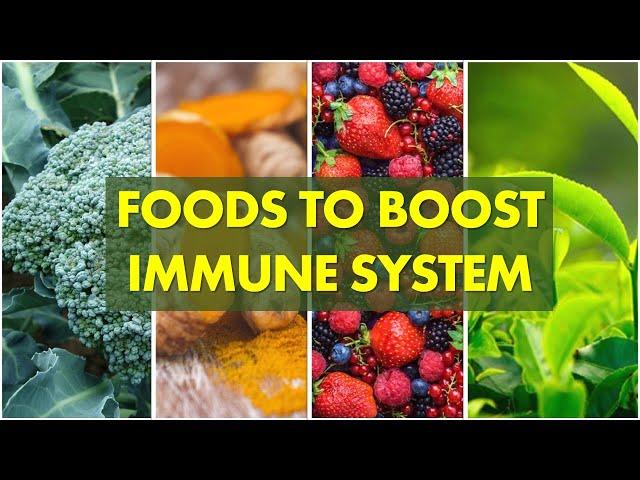 Immune System Foods | 20 Best Foods To Boost Immune System