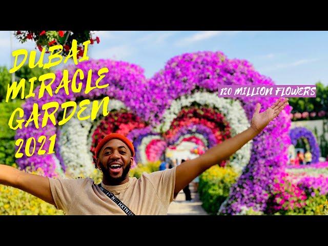 A World of Floral Wonders, Dubai Miracle Garden Tour 2021.