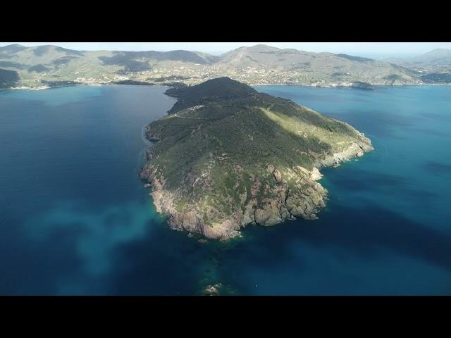 Capo Stella Lacona Isola d'Elba