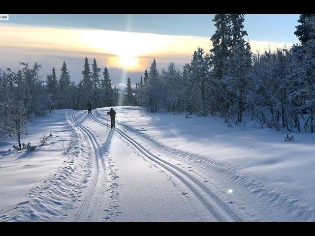 'Be a Better Skier' - Cross-Country Ski Skills Holiday, Norway