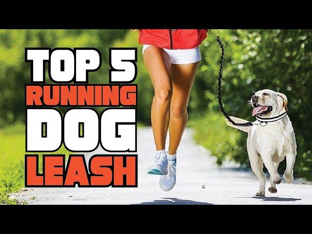 Best Running Dog Leash Reviews 2024 | Best Budget Running Dog Leashes (Buying Guide)