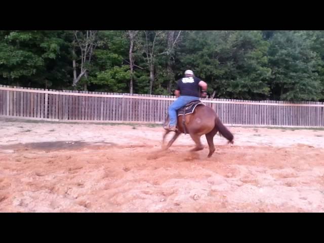 Mandalay Rey 2 year old cutting prospect