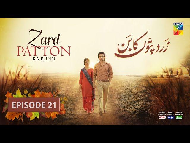 Zard Patton Ka Bunn - Ep 21 - 29 Sep 24 - Sponsor By Gofy, Master Paints & Jhalak Beauty Cream