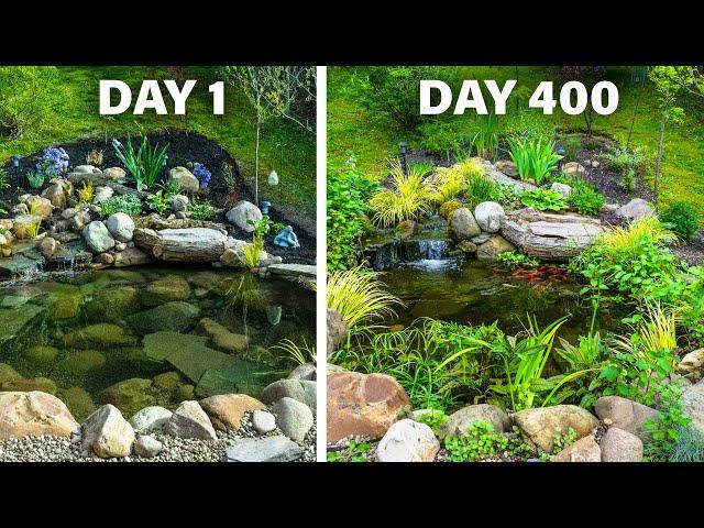 DIY Budget Ecosystem Pond - Solo Build in 5 Days by Hand (1 Year Later)