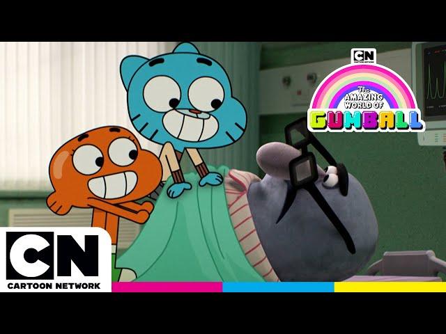 Save Mr. Robinson | Gumball | @cartoonnetworkuk