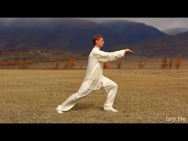 Tai Chi 24 forms Sergey Sukhovey