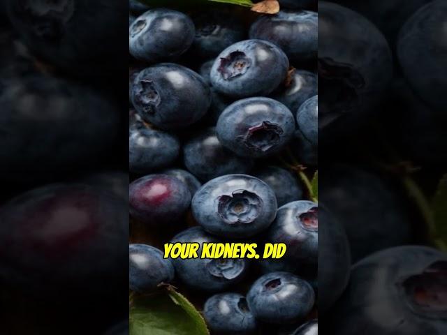 OneClick Videos Kidneys 3