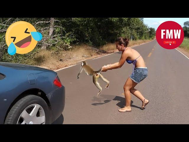 Funny & Hilarious People's Life  #223 - Try not to Laugh | Instant Regret Fails Compilation 2024