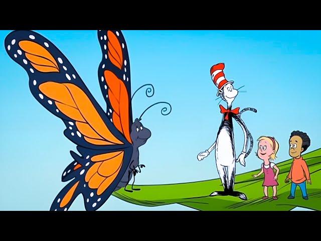  Read Aloud | My, Oh My A Butterfly! | Storytime for Kids