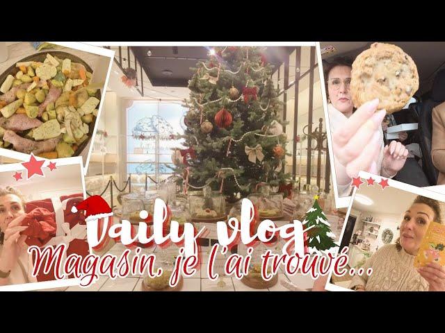 Vlog from December 8 to 10: Shopping...I found it...