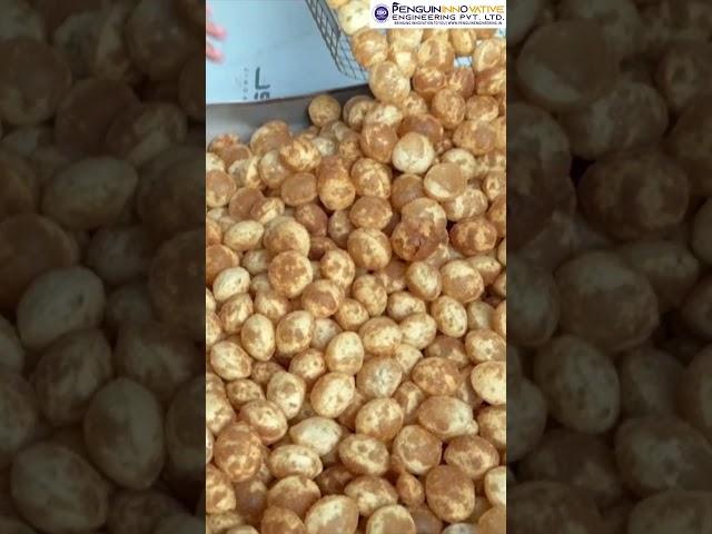 Bullet Panipuri Fryer Machine | PaniPuri Fryer Machine | Bullet Fryer machine