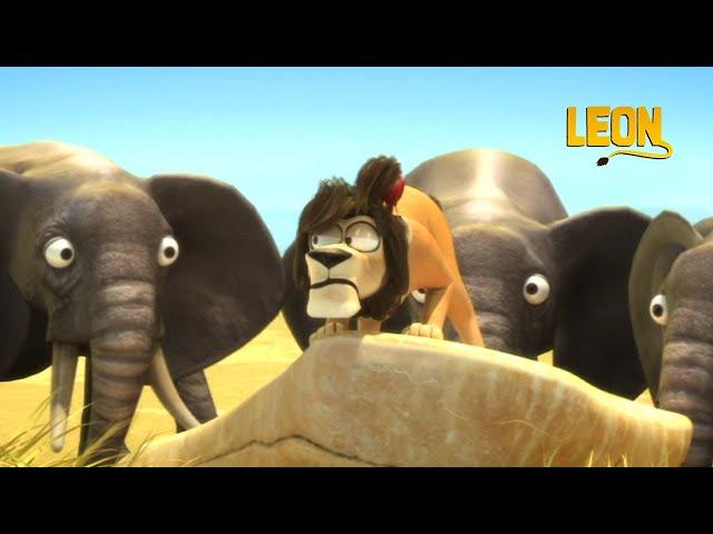 All the Leon Episodes | Crazy animal compilation