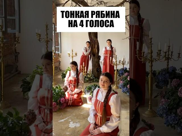 ХОР ИЗ ОДНОГО ГОЛОСА  #тонкаярябина #народнаяпесня #зыкина #хор